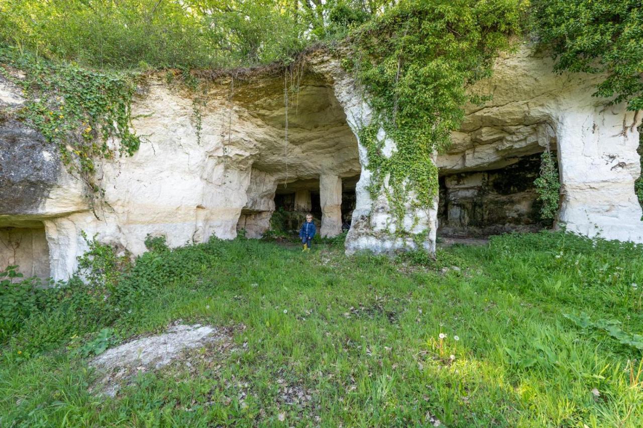 Logis De Bois Roche Villa Saint-Bonnet-sur-Gironde Exterior foto