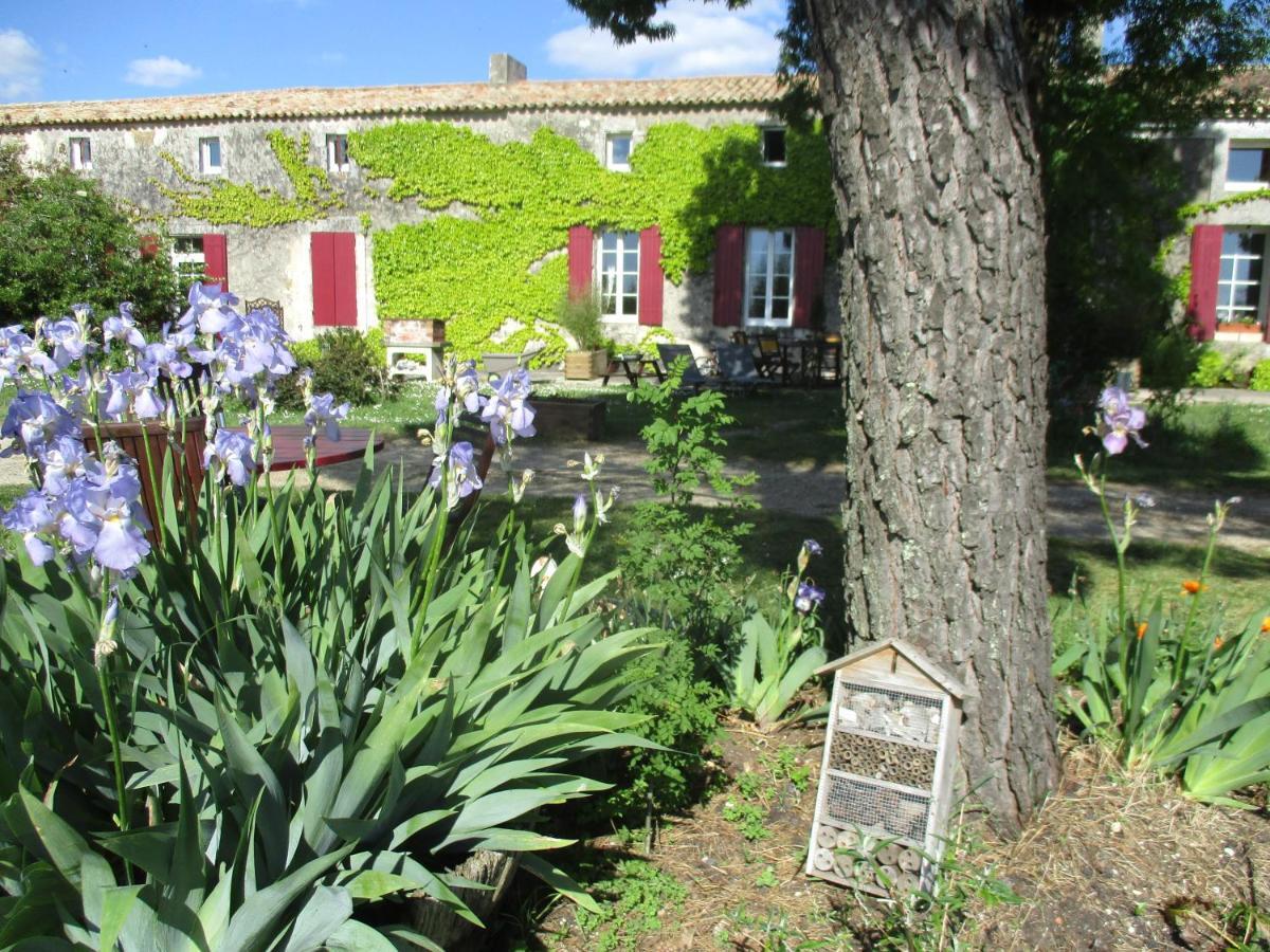 Logis De Bois Roche Villa Saint-Bonnet-sur-Gironde Exterior foto